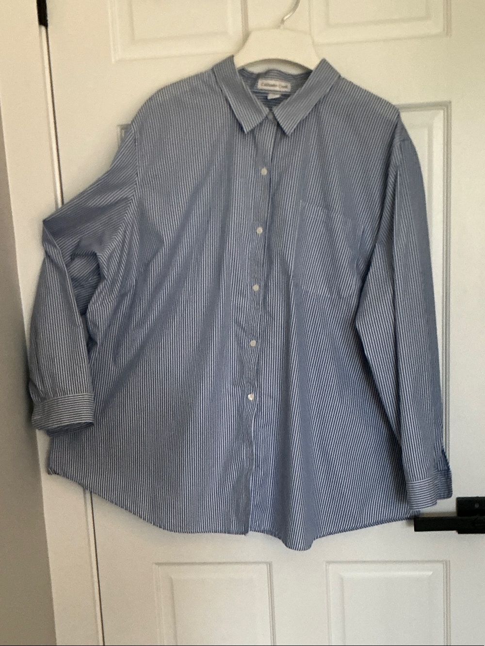 Coldwater Creek Blue & White Pinstripe Button-Down Shirt